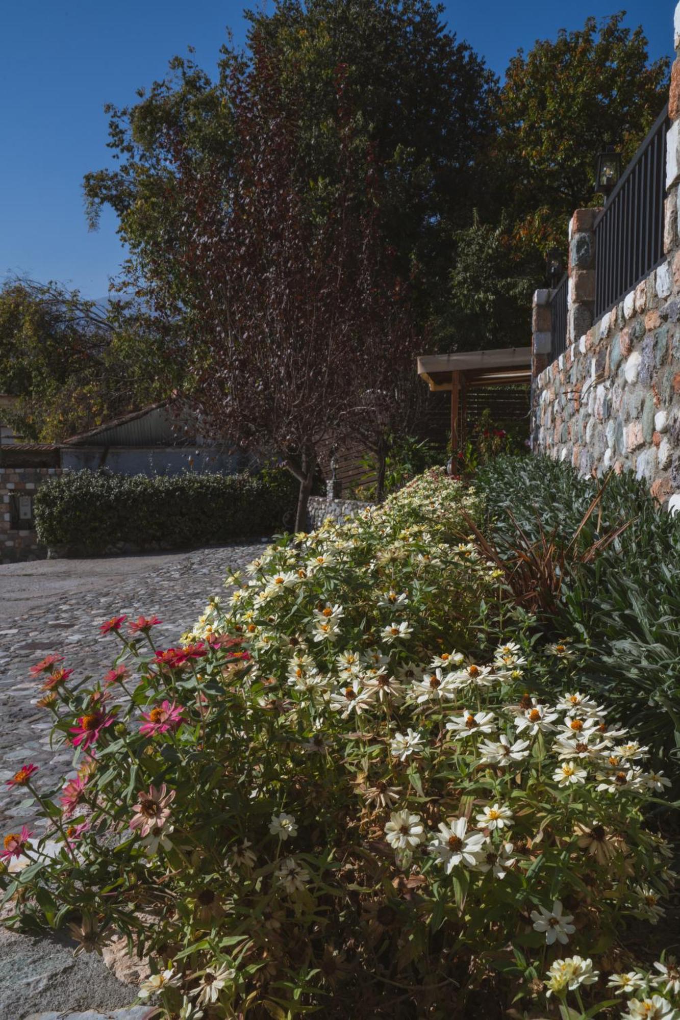 Alkyonis Hotel & Spa Loutraki  Exterior photo